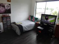 Platypus Heaven Waratah Waterfall Retreat Unit1 Free Pay TV in 2 Rooms Free Bottle Wine & Free WiFi - que admiten mascotas