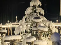 Snow Valley International Youth Inn (Snow Valley Scenic Area) Hotels near Xuexiang Gouxiongling