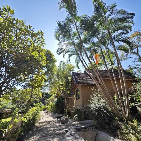 The Moon Rabbit Resort