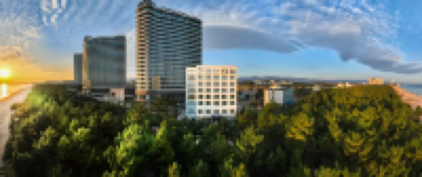 Hound The Blue Hotels in Gangneung-si