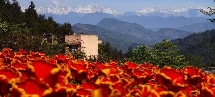Huatian Inn, Blackstone Park, Table Mountain Hotels in Yingjing