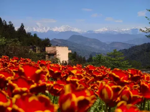 Huatian Inn, Blackstone Park, Table Mountain