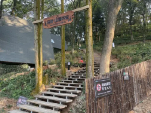 Xianü Lake Senye · Mountain Residence