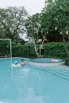 Wooded homestay - Private Pool