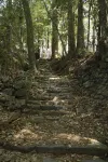 SEN.RETREAT HONGU - Kumano Kodo Gateway - Vuoristonäköala