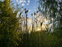 Zhangye · Ruchu EVERSO Qiye Luxury Design Guesthouse (National Wetland Park) - Mountain view