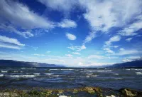 Dali Flower Seaview Holiday Homestay (S Bay Ecological Corridor) - Romantisk