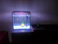 休寧家馨ホテル