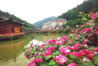 Jiangyou Jiuzhai Homestay Hotel in zona Wenbei Station