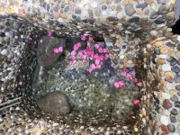 Yanyao Homestay (Hanhua Tianmashan Hot Spring Resort)