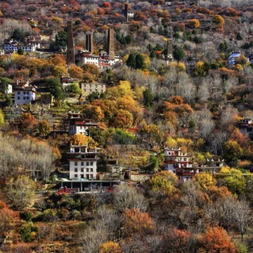 Dezi Qingmai Homestay