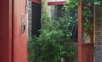 Liangke Wintergreen Courtyard Homestay (Yantai Mountain Scenic Area)