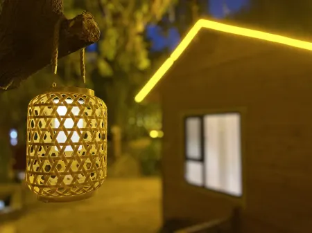 Encountering homestays again