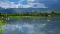 Shihua Yijing Seaview Hotel (Baoshan Qinghuahai Wetland Park Branch)