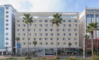 Mangrove Jeju City
