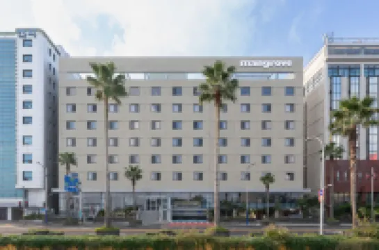 맹그로브 제주시티 제주동문시장 주변 호텔