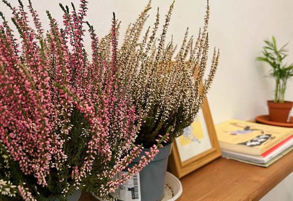 Muse Inn의 편리한 위치를 보여주는 교통편 사진