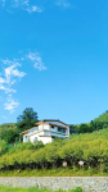 Wangmeishan Residence