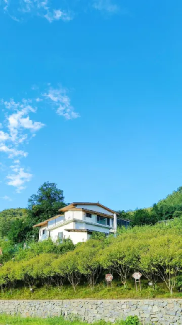 Wangmeishan Residence