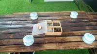 Jia'ang Homestay (Zhaosu Xiata Scenic Area) - 2-Star