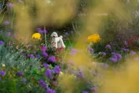 Dali January Harboring Heart Seaview Guesthouse (Erhai Lake Park Branch)