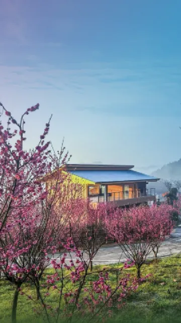 YAOJIA·WANGCHENGXIAOZHU