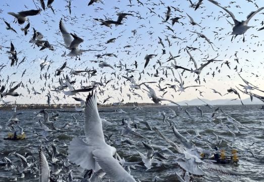 26Life 민속호텔 객실