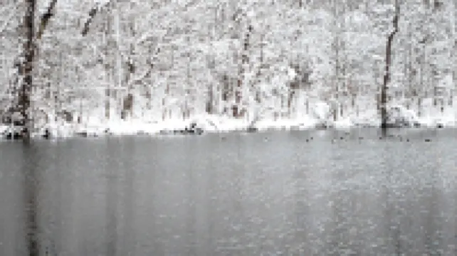 Furano Torinuma Villa Hotels in 