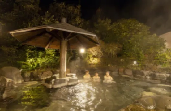 Ooedo Onsen Monogatari Premium Seiunkaku(Old:Yukai Resort Premium Seiunkaku)