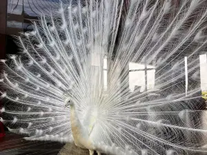 宜春唯美硒泉度假村