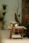 Zizai Courtyard · Persimmon Homestay - servizio colazione
