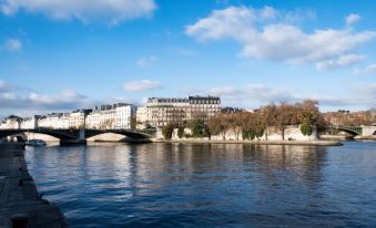 Chic Loft with Big Private Terrace on Ile Saint Louis