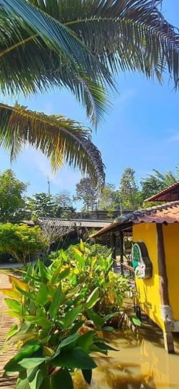 รูปภาพของนกขมิ้นโฮม เชียงดาว