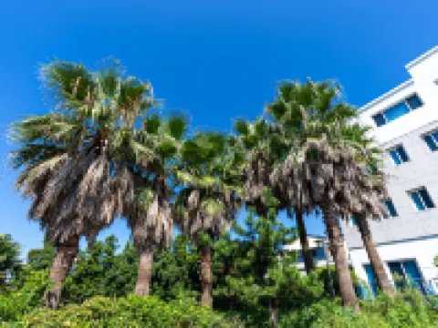 格蘭德酒店 中文店 鄰近中文海水浴場的酒店