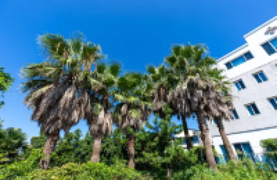 Hotel the Grang Jungmun Các khách sạn gần Chùa Beophwasa
