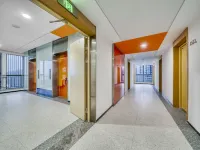 Paddington City Home Hasha Outlets