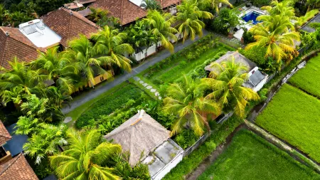 Svarga Bebek Villas Отели рядом с достопримечательностью «Lotus Villa Ubud»