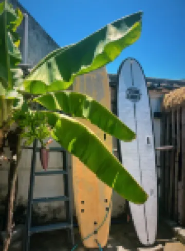 凹小院民宿（万寧新羣灣） 新潭湾周辺のホテル