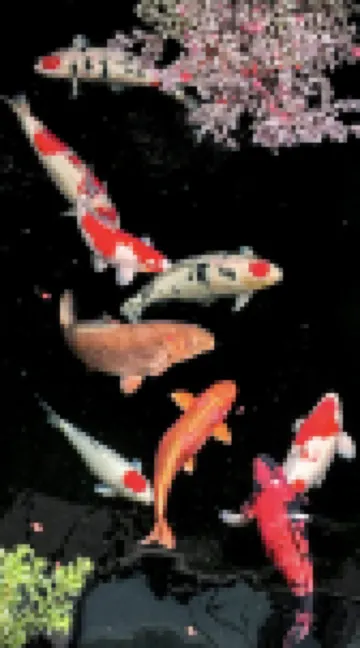 เดอะ เมาน์เท็น เฮาส์ โรงแรมใกล้ภูเขาชางซาน