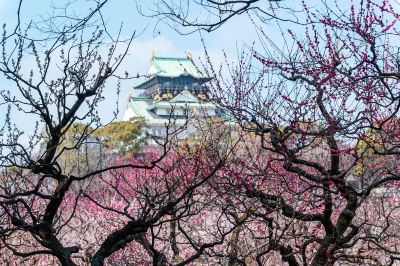 ホテルからの眺望 ホテル・ザ・ルーテルの写真