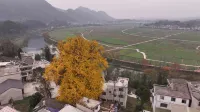 THE ROOT RESORT - 絶景