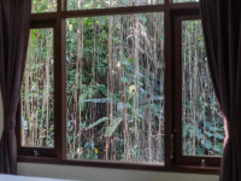 Alam Pangkung Ubud Hotels near Ubud