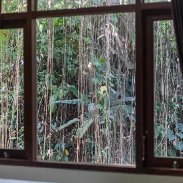 Alam Pangkung Ubud