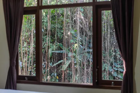 Alam Pangkung Ubud