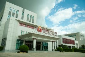 Soluxe Hotel