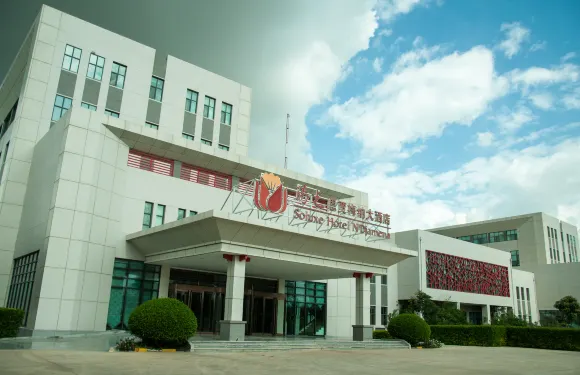 恩賈梅納Soluxe酒店