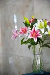 Changshun Jinglong Express Hotel