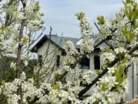 仙女山·歸原·在山ブティックリゾート民宿 武隆区政府/武隆カルスト観光区のホテル