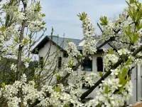 Homecoming·Snowman Mountain Guesthouse Hotel in zona Furong Cave (North Gate)