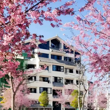 Nine Trees Inn